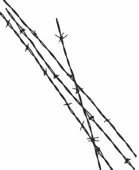 防犯効果抜群　有刺鉄線　Barbed Wire
