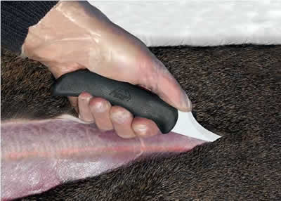 スイッチングブレード解体ナイフ  スキナーブレード・皮剥ぎコンビネーションナイフ